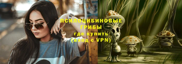 apvp Арсеньев