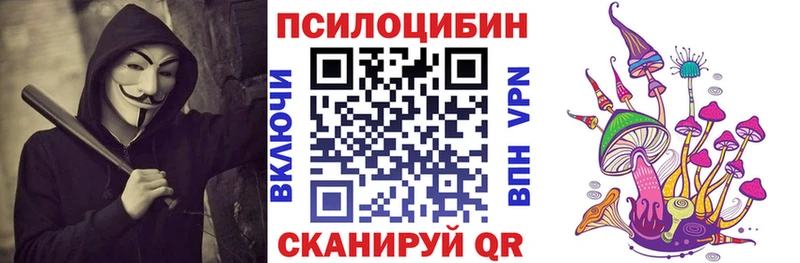 Псилоцибиновые грибы Psilocybe  Зубцов 